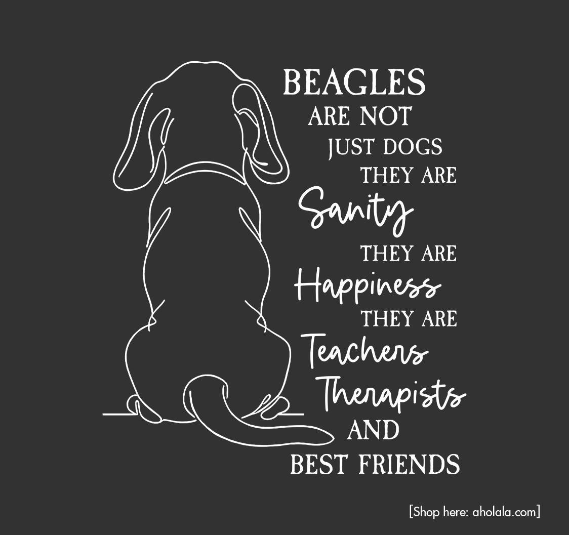 beagle_addict's tweet image. They don’t just fill your home. They fill your heart. 🐶❤️
=Get here: aholala.com/beagles-are-no…
#beagle