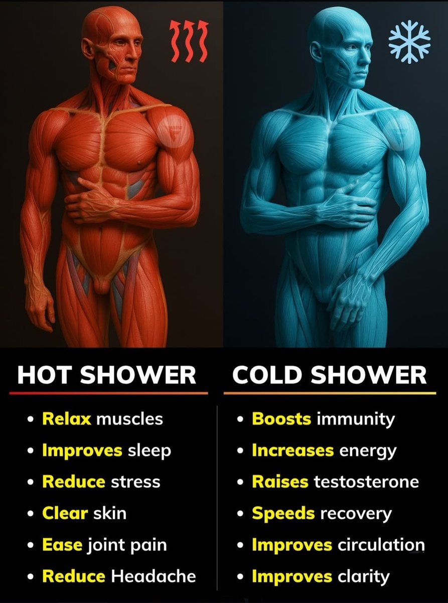 Masculine Beast (@masculine_beast) on Twitter photo 