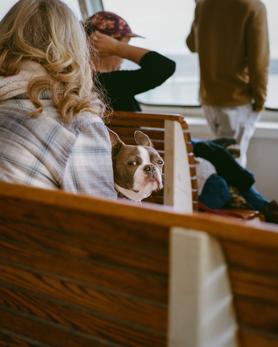 kristopher tweet media