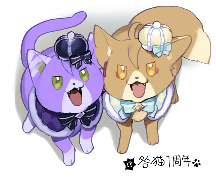 一回きりなんだろうなあと思っていたらまさか一周年を迎えるとは…😳 