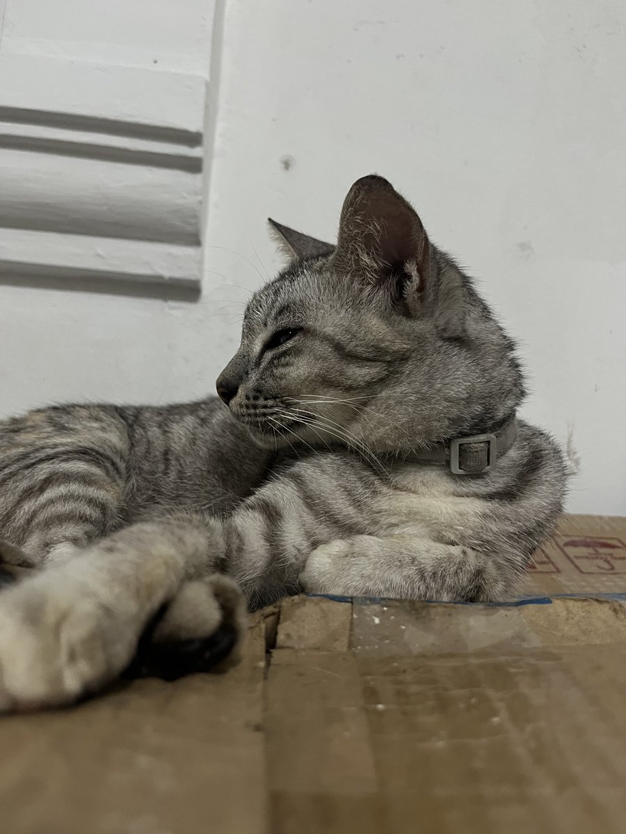 Emang boleh ya pemilik rumah pas didatengin sinis banget?