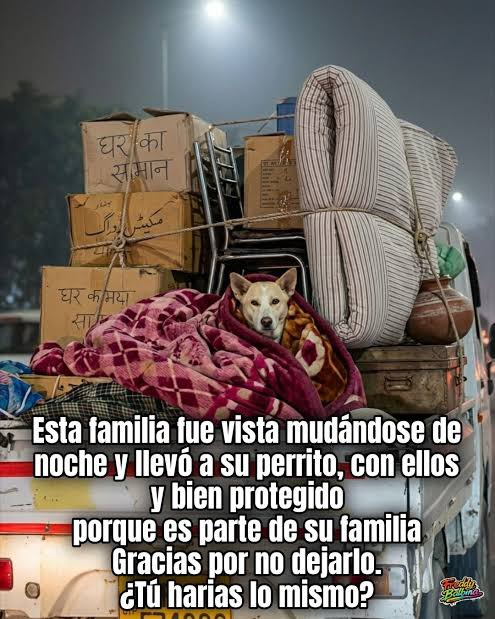 ¡Cuando te mudes, no olvides lo más importante! A la familia no se le abandona.