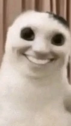 Cit Cita | Vgen Comms tweet media