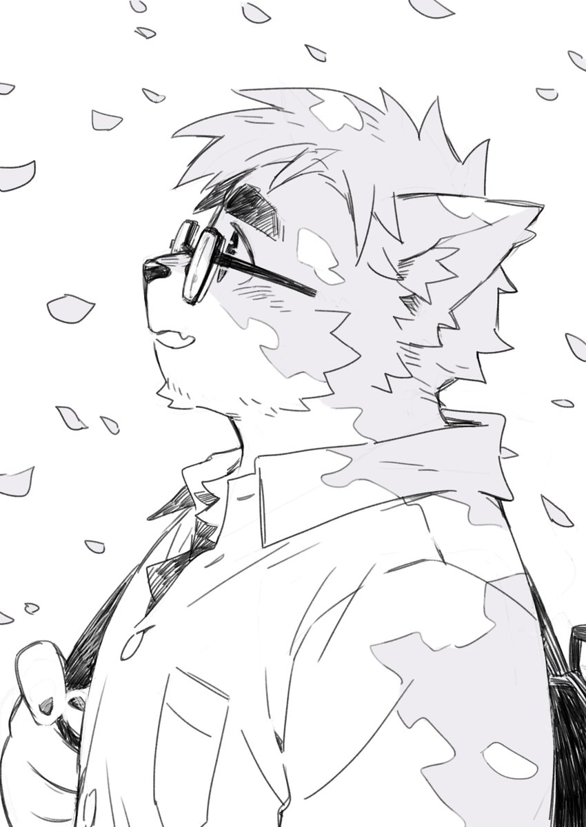 黒ねず@日常 tweet media