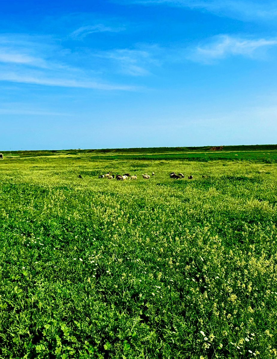 Noah__f16's tweet image. Randoms 
الحدود العراقية السورية 
#Iraq