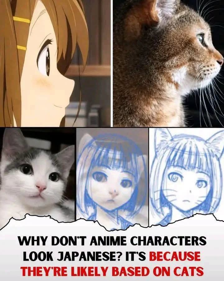 Espiritu tweet media