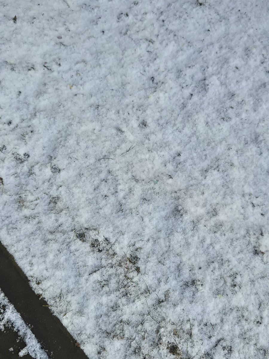 𝐄𝐢𝐥𝐢𝐧𝐚 tweet media