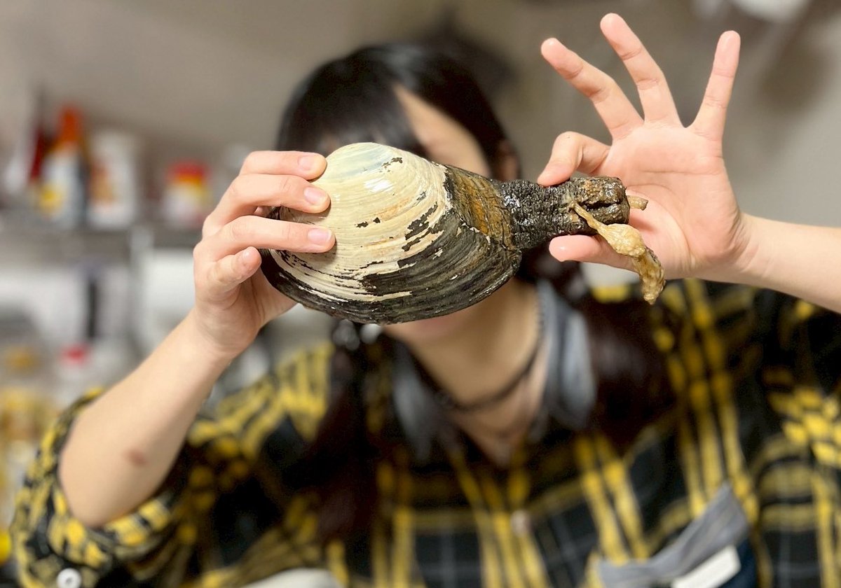 ぐっさん tweet media