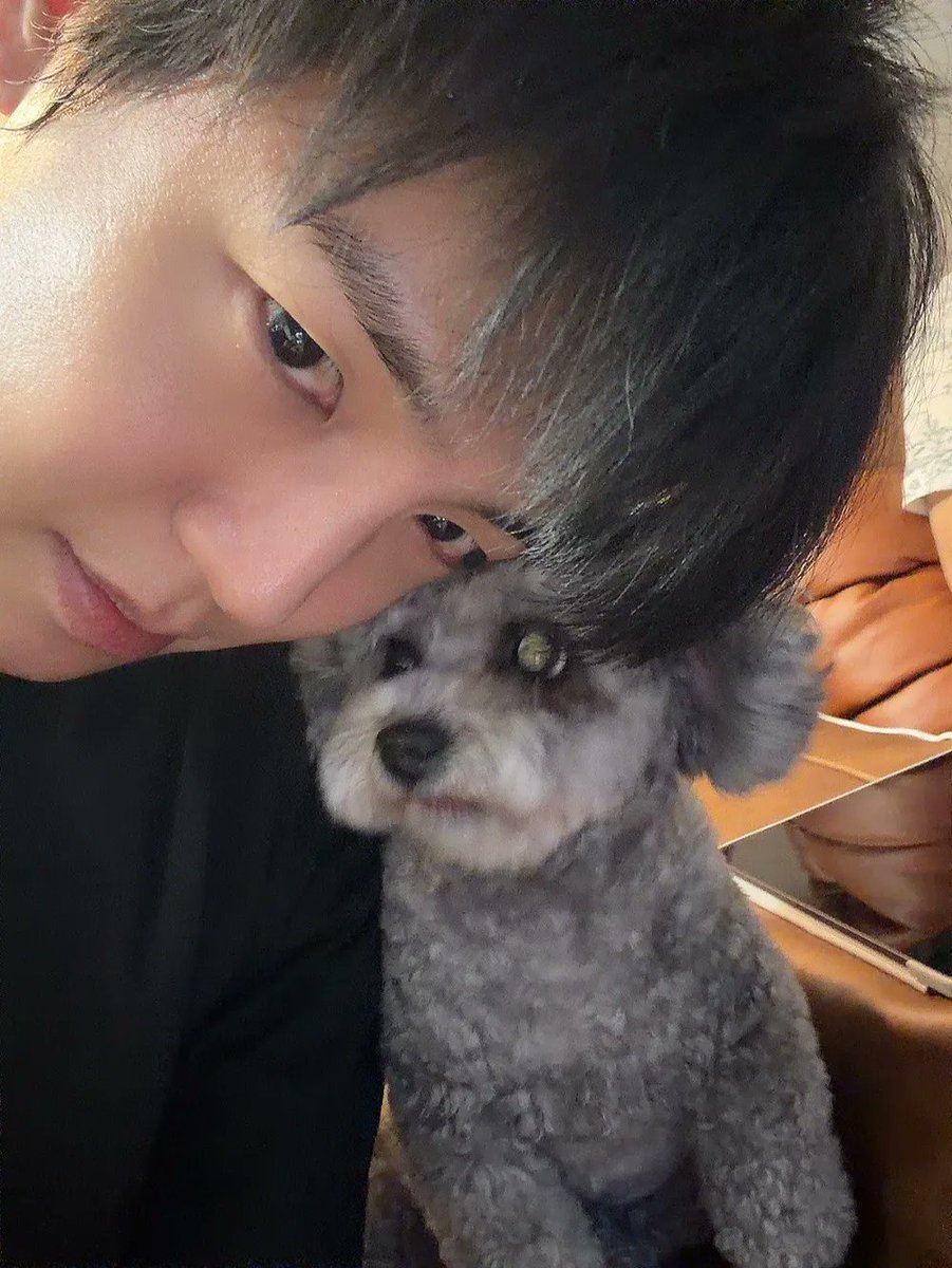 jihee0770's tweet image. 이지함 LINC update 
[📧] 20260418 🍫🛋

ㅎㅎ 아 살 왜케 쪘냐 얘
저거 어쩔 거야..?

#이지함 #LEEJIHAM 
#ACE #에이스 #jiham 
@official_ACE7 
@jihamofficial