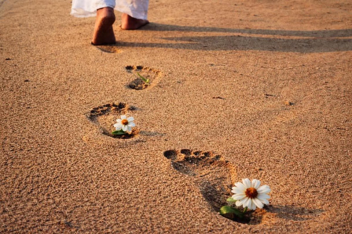 انسان کی نا ختم ہونے والی دولت۔۔۔
اسکا باقی رہ جانے والا اچھا اثر (Impression ) ہے۔ 
—————————————
ثروةُ الإنسانِ التي لا تفنى…
هي “الأثرُ الطيب”.