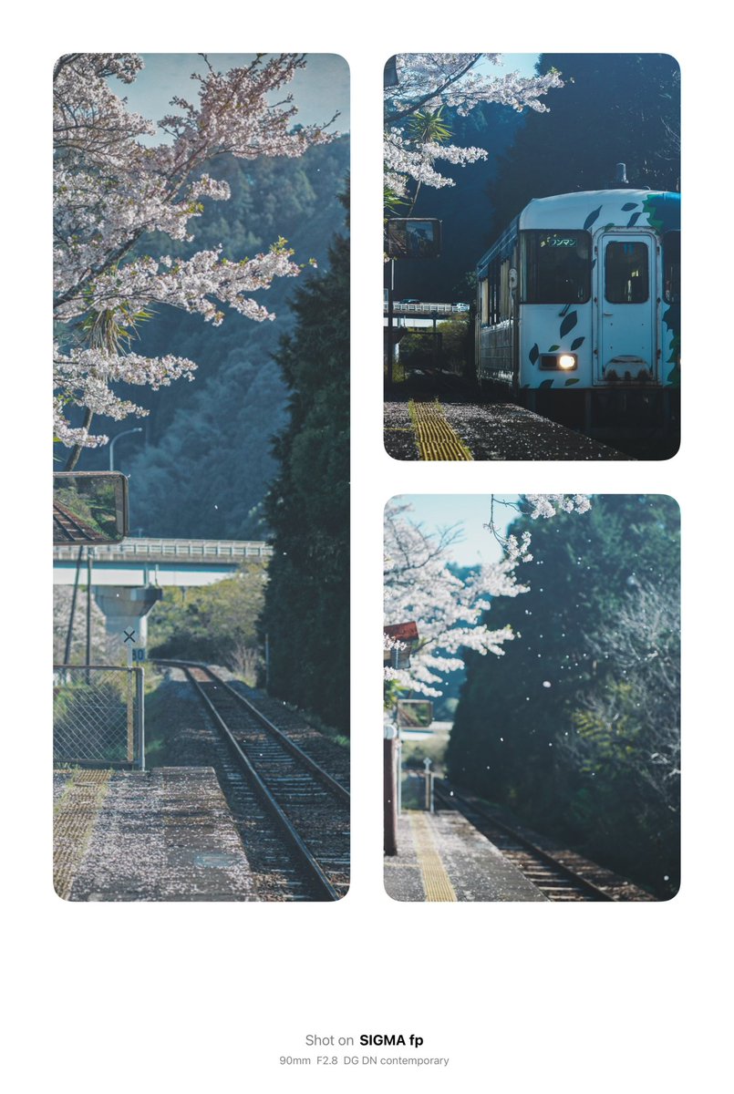 Hiro Morioka | カメラで描きたい人 tweet media