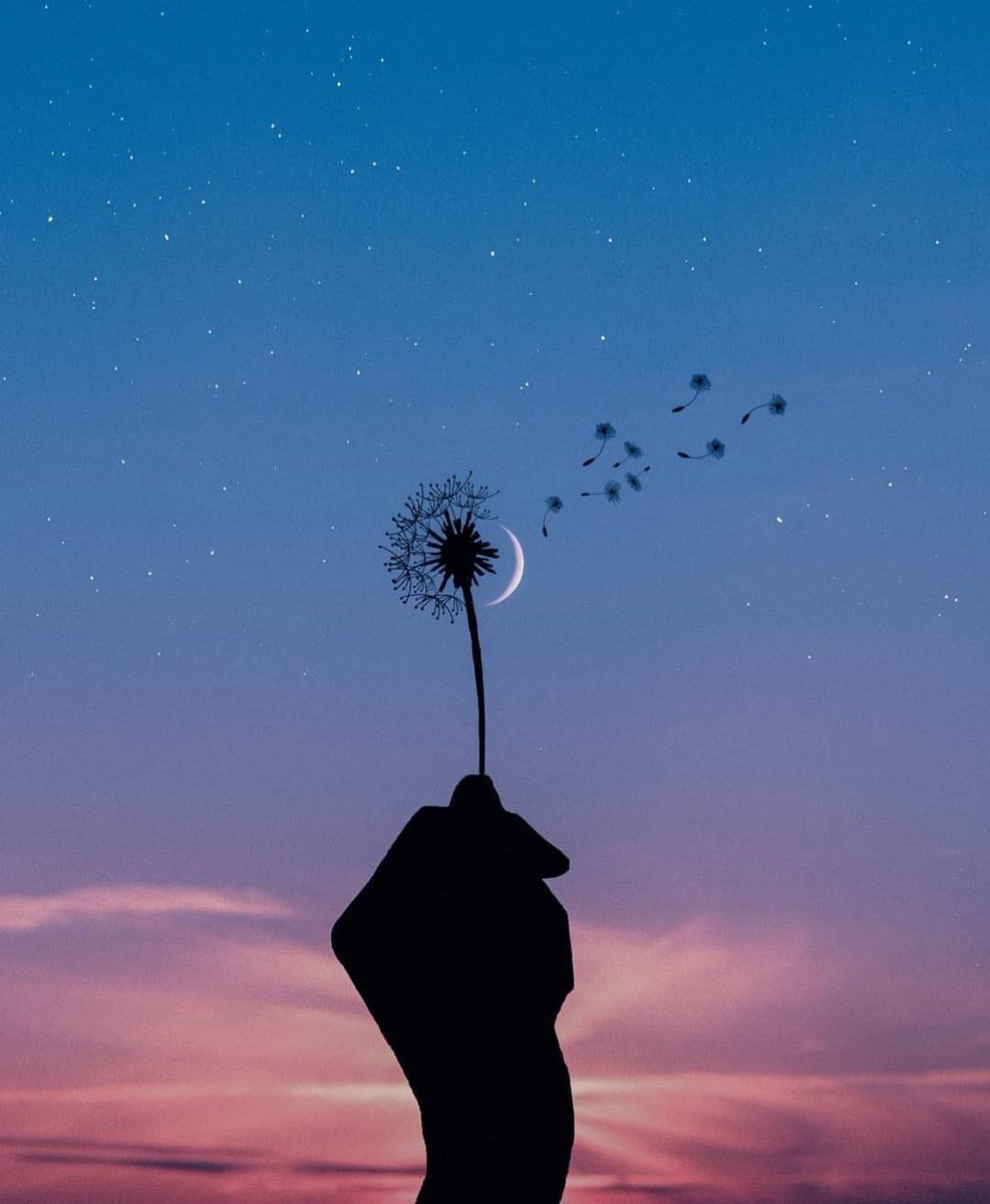 달이뜨는밤 ☽⋆. tweet media