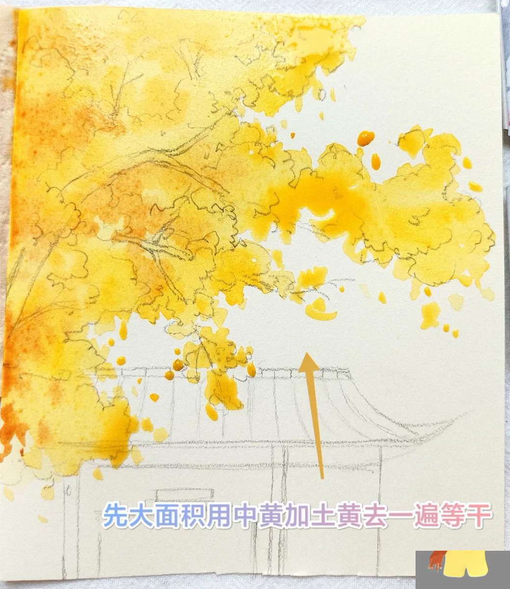 Thomas Schmied tweet media