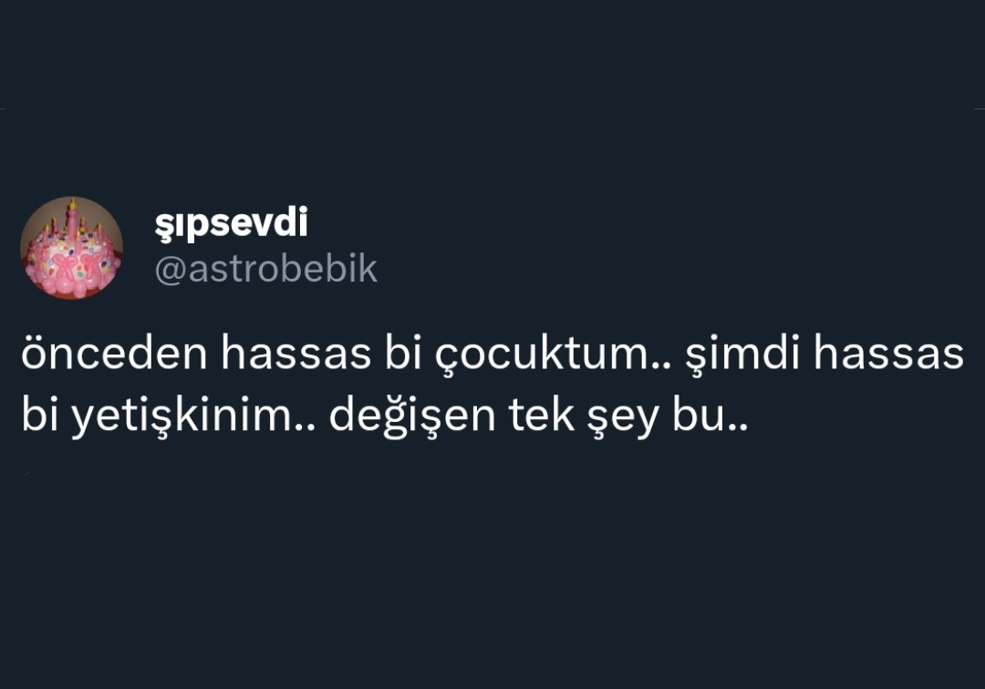 ANLIK tweet media