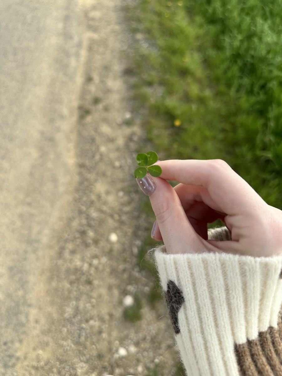 yoimonn's tweet photo. found a four leaf clover on my walk today 🍀 https://t.co/0dVIz4LFXy