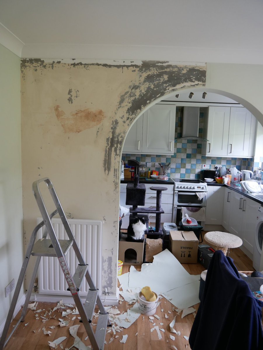 paulshaw's tweet image. Ever wish you didn't start a job? #diy #decorating #bailey #cat