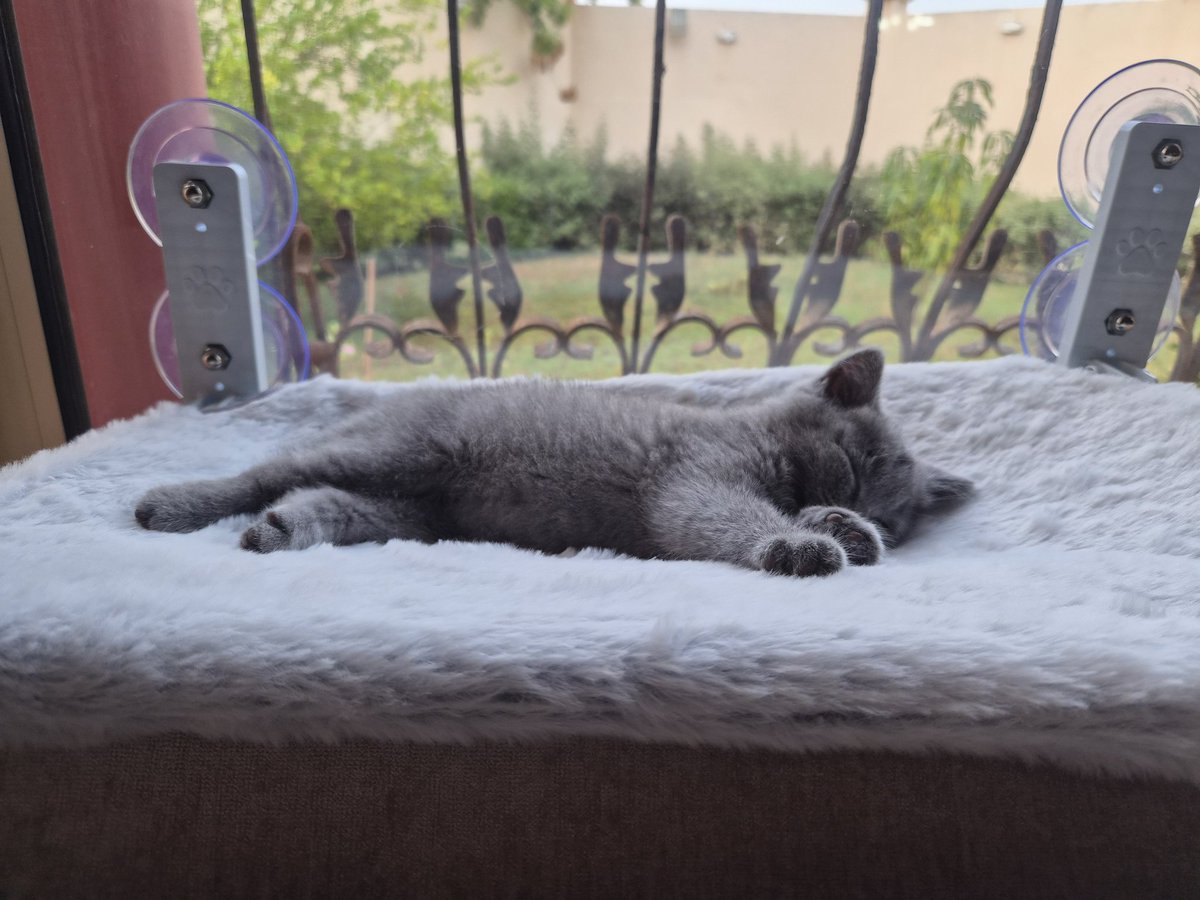 شاي بالحليب tweet media