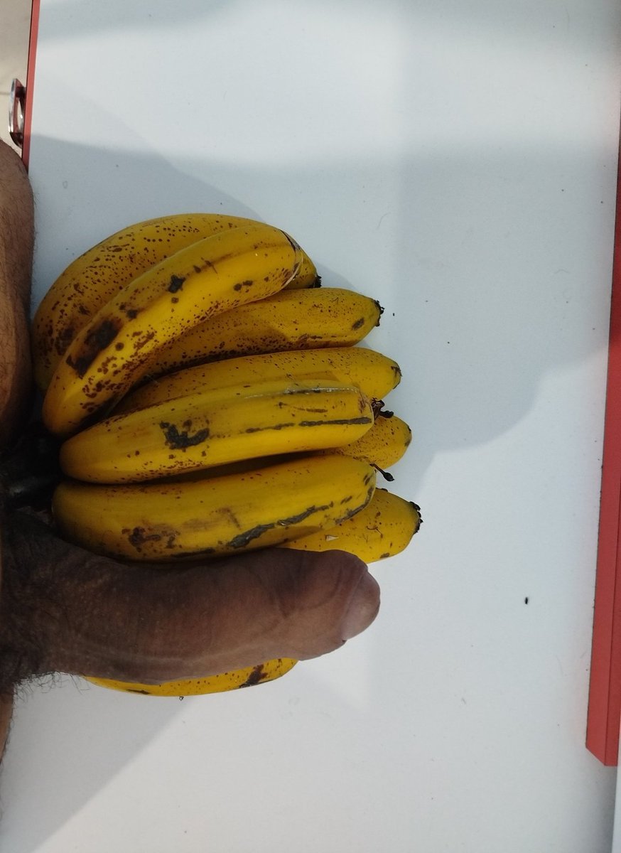 Bisex- Caracas (13k) tweet media