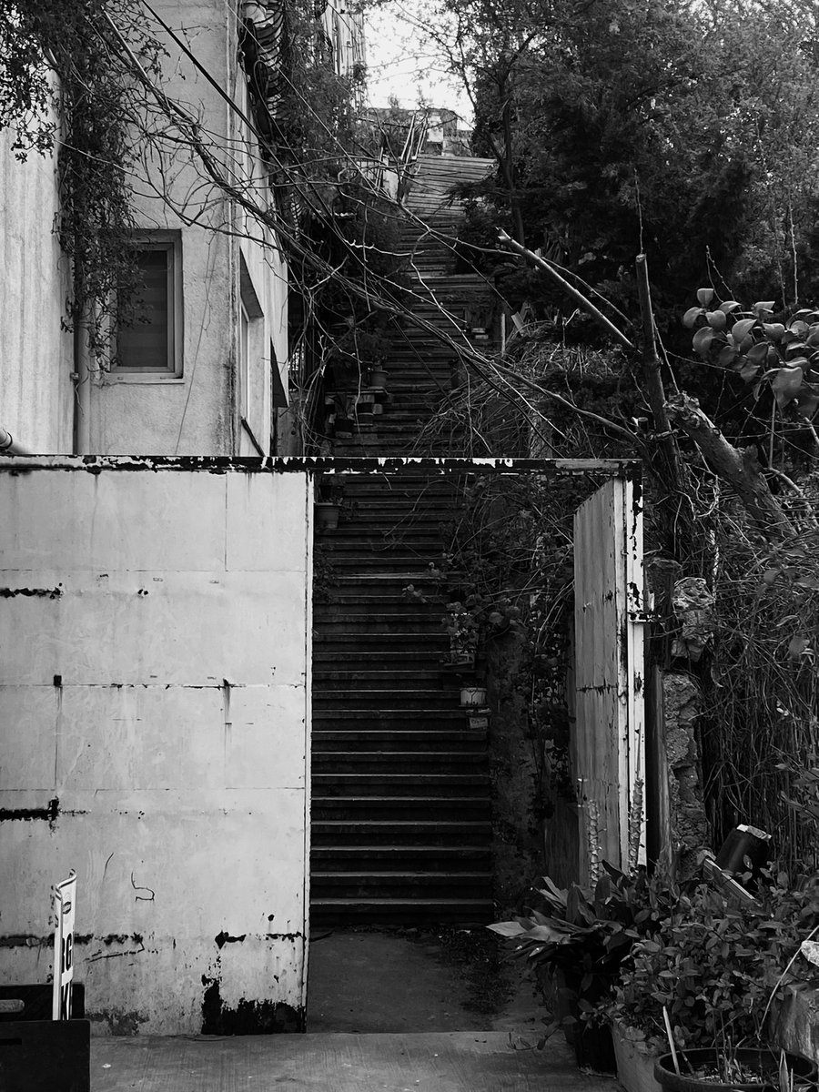 ahmet şafak (@ahm3texe) on Twitter photo 