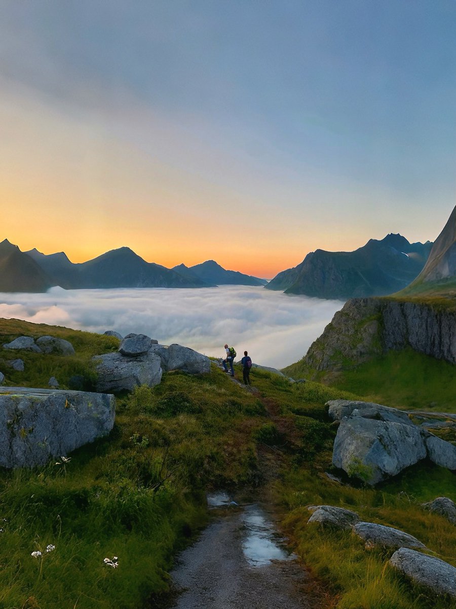 رحال tweet media