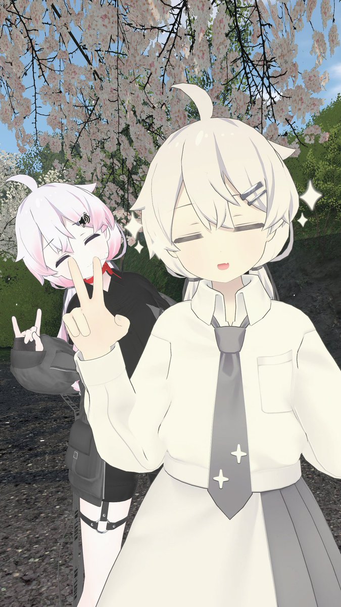 Biscuits-Cat tweet media