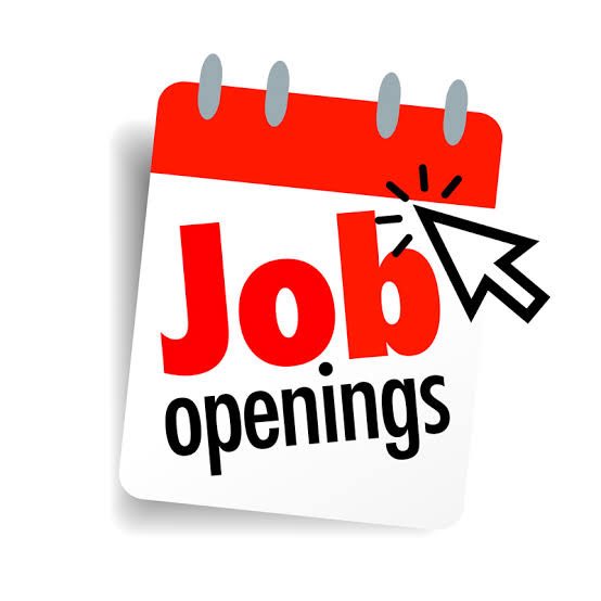 Mehemerson1's tweet image. We are looking for positions 

point guard
shooting guard
Center 
Forward 

NJCAA Division I ,2men's basketball championship

We also need 
Assistant coaches 
And 
trainers 
 Deal comes with  apartment 
Get back to me
#NCAA #basketballplayer