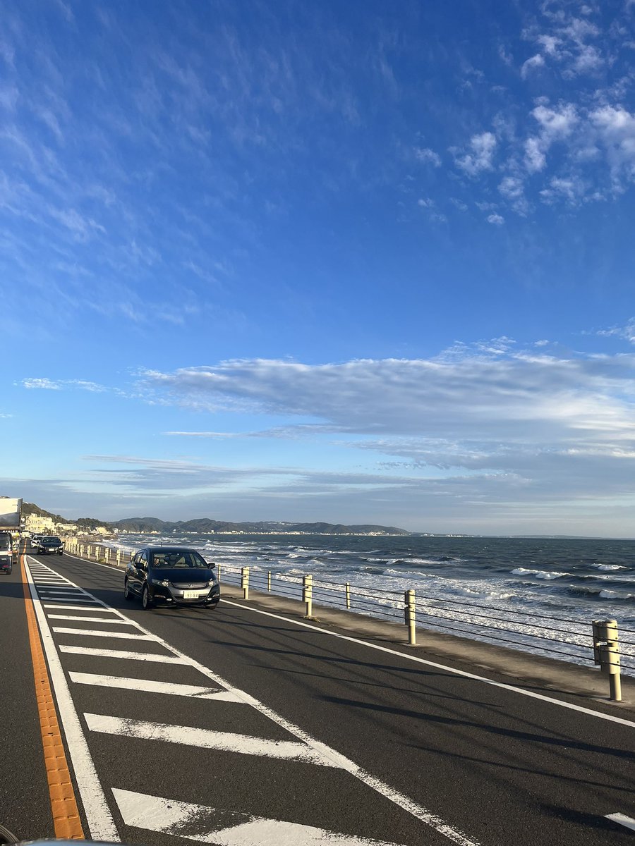 紳士ジッパー tweet media