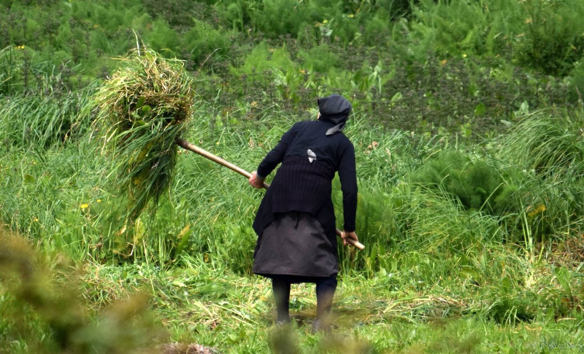 Santiago Garrido tweet media