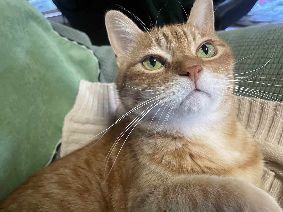 小川恵理子 tweet media