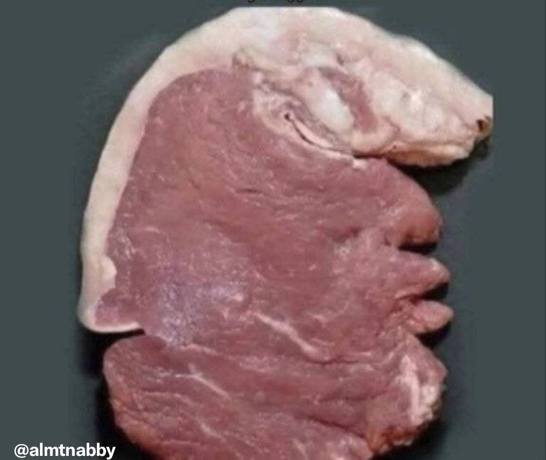 المتنبي. tweet media