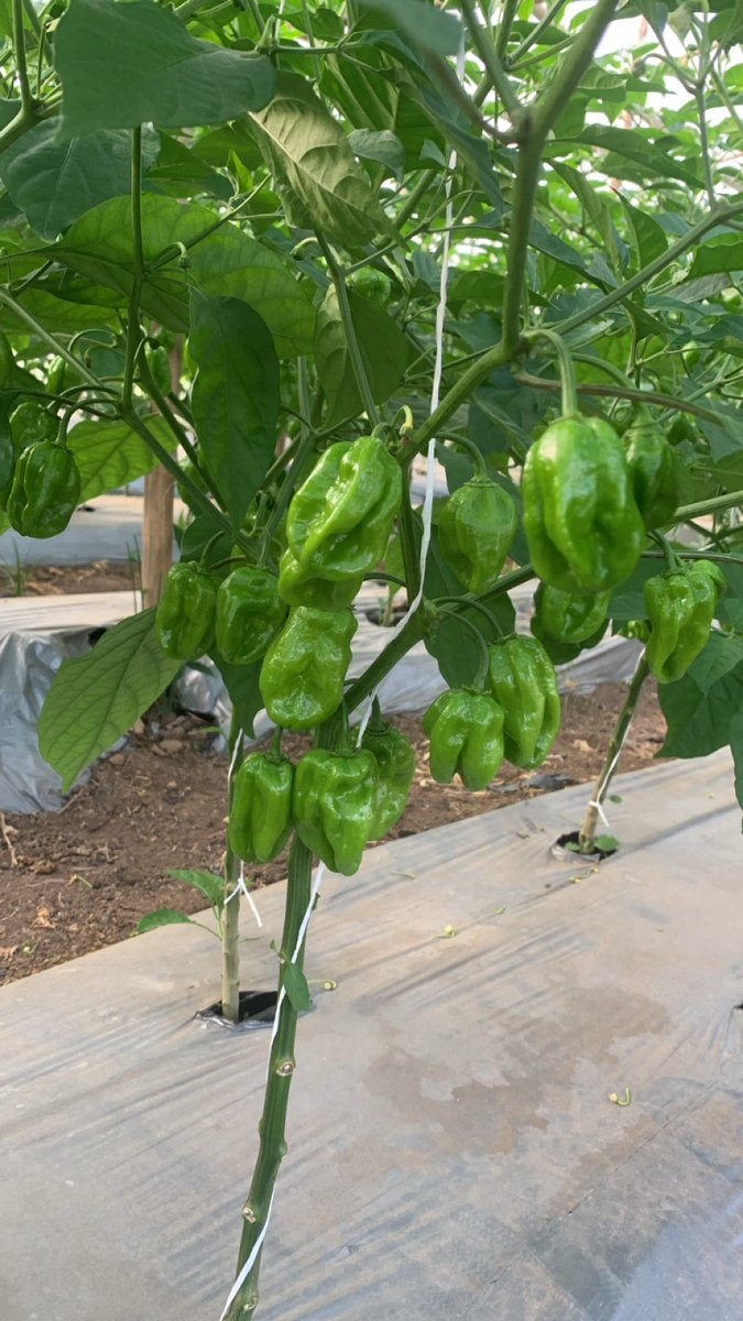 A very short story🥰