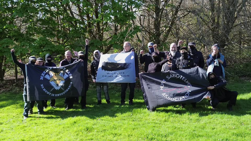 North Dorset Hunt Saboteurs tweet media