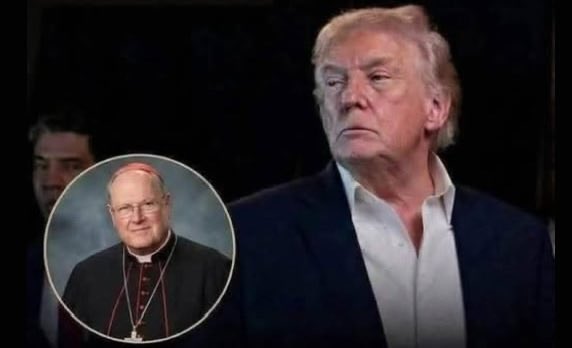 Liberal Tear Creator™ tweet media