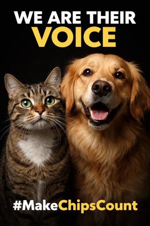 LisaClareRead2's tweet image. Dog &amp;amp; Cat owners, Please can you sign the petition below,to introduce ONE central microchip portal to help reunite #missingpets 
Only 19,578 signatures so far, please support this is so important. 
✍️ ⬇️ 
petition.parliament.uk/petitions/7486…

Thank you 
#dogs #cats 
#WeekendVibes #missingdogs