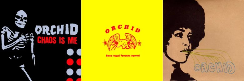 dreamsofdrone's tweet image. #fl orchid's discography