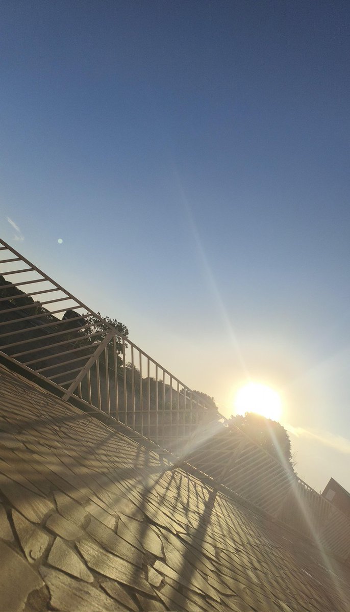 shinjukushade's tweet image. eu na piscina e vcs #nada