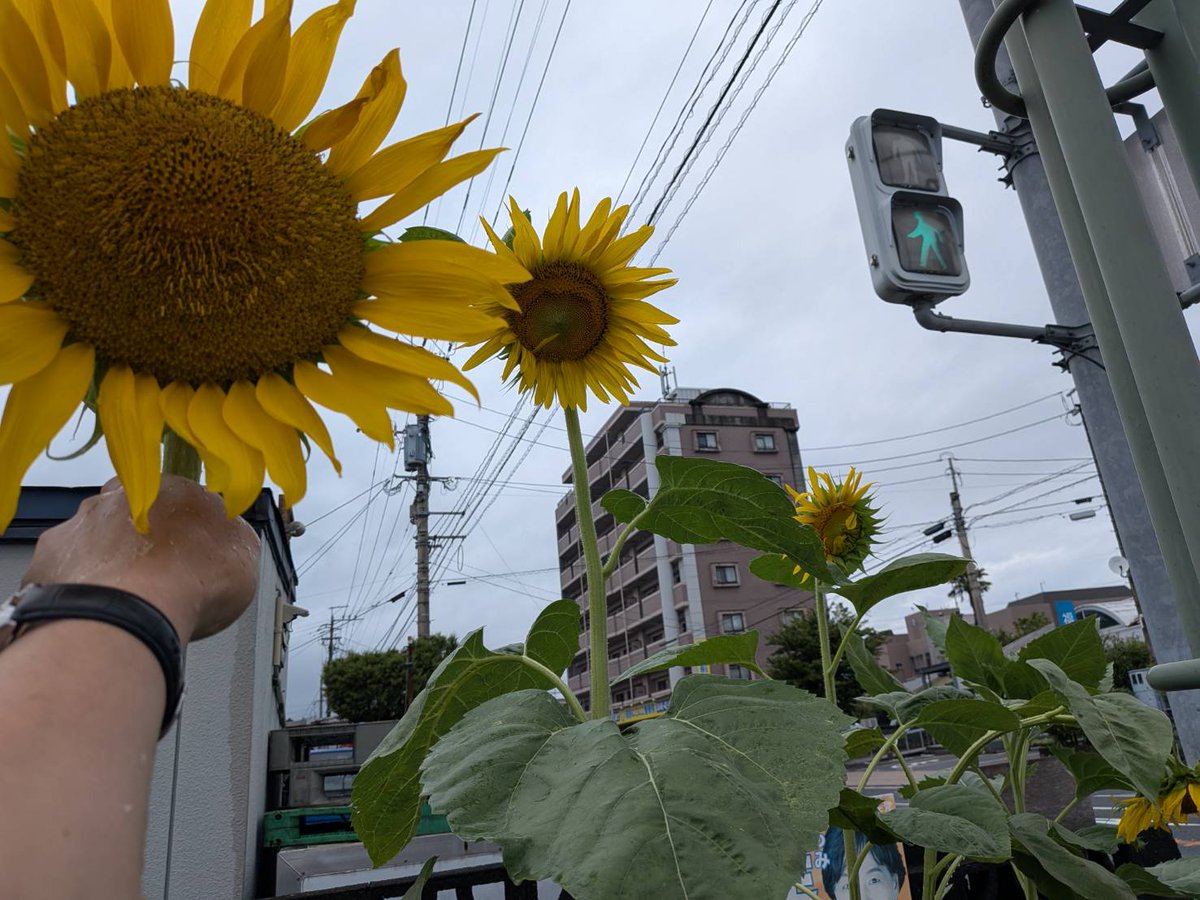 のり君🗾🇯🇵🐡🧸❤🌸🧸🍒🏁🚗📝⌚🥼⚾️🎣 tweet media