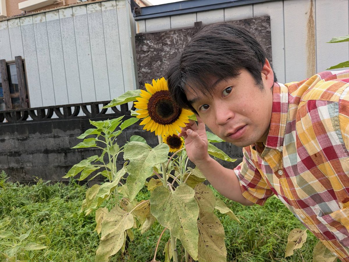 のり君🗾🇯🇵🐡🧸❤🌸🧸🍒🏁🚗📝⌚🥼⚾️🎣 tweet media