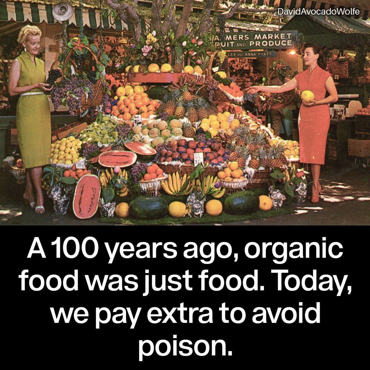 David Wolfe tweet media
