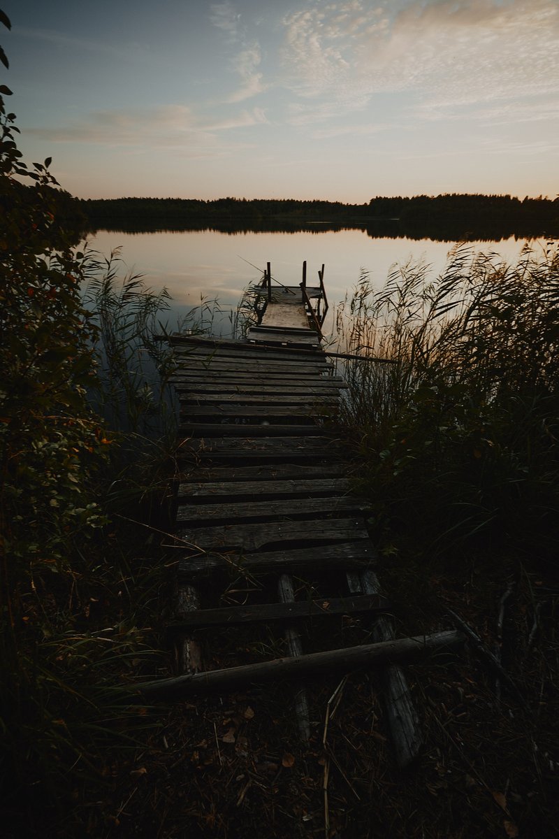 _Wolh_'s tweet image. #photography #lake #dawn