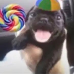 mo ‹📕龍.ა̸ ALA tweet media