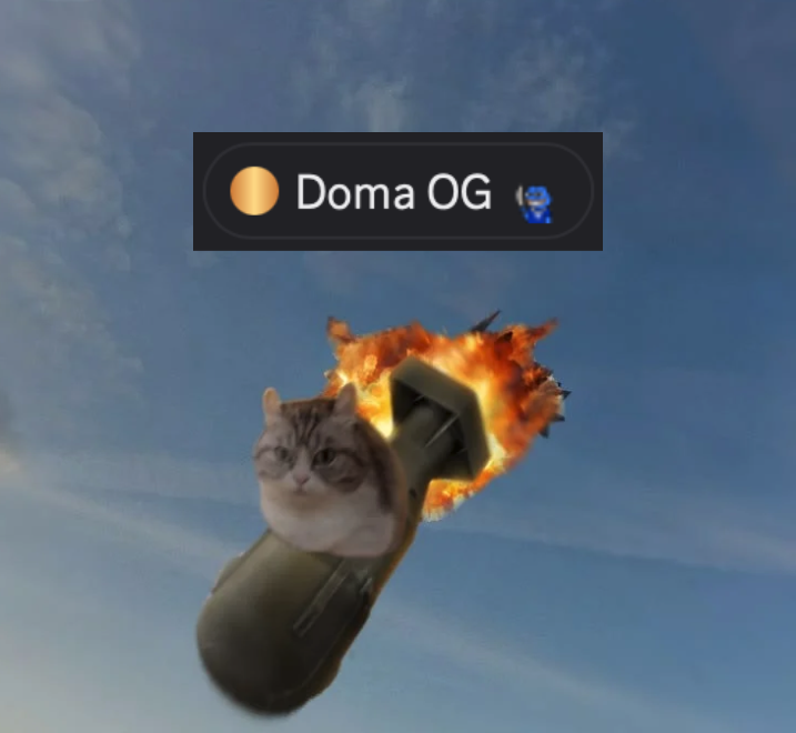 Himas.somi tweet media