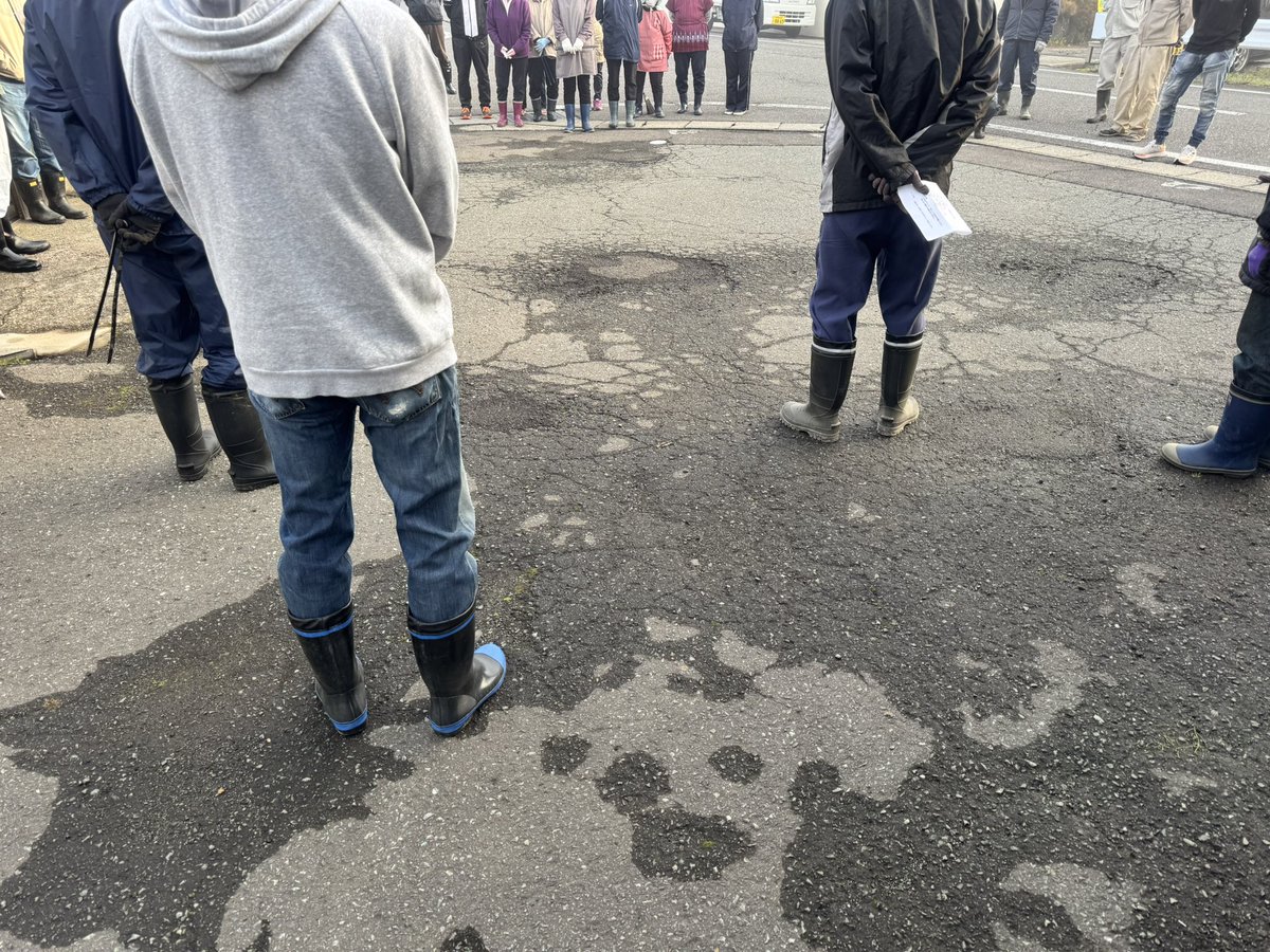 _Ito@🐶(←together 4ever) tweet media