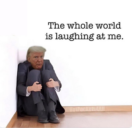 Loless Nter tweet media