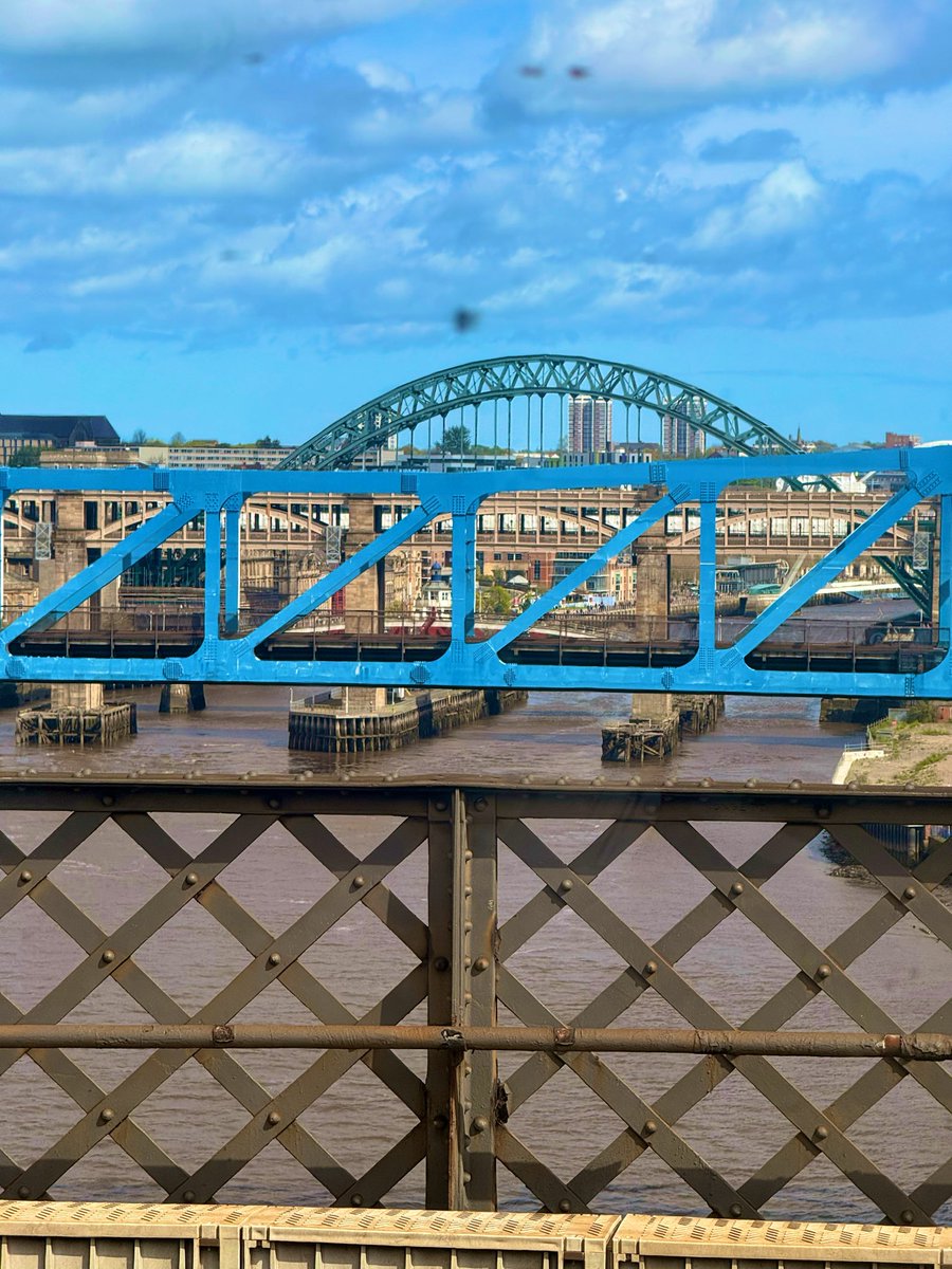 Sparky’s Mrs tweet media