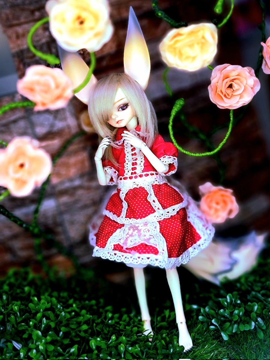 *Cxia-浩太*⌒*Doll垢 tweet media