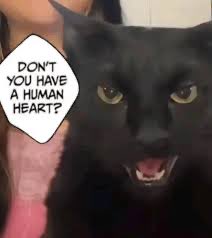 Knitter Eater (RIP Uncle Ted) tweet media