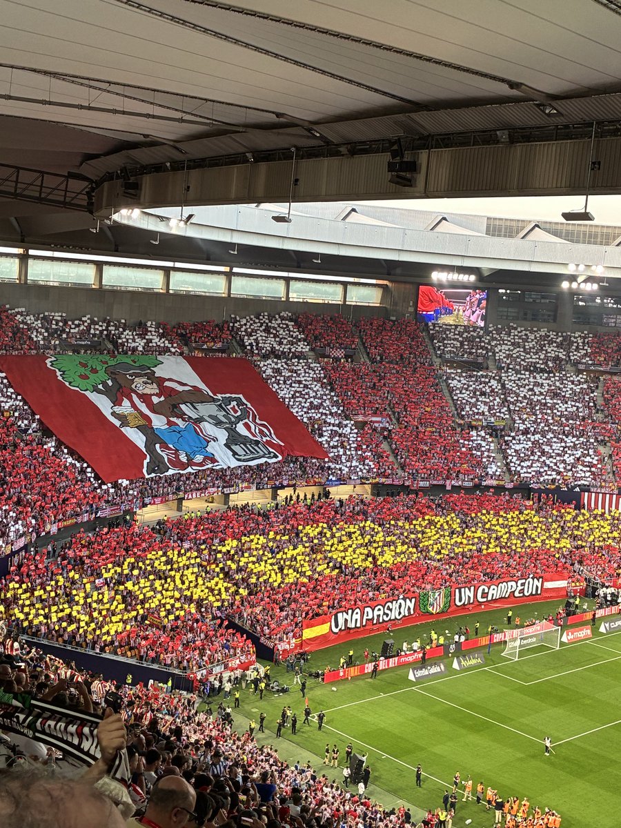 Supporters life tweet media