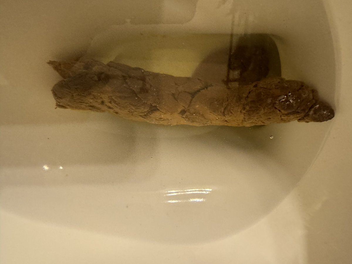 ChakalFeeder's tweet photo. Turd rice and fish 

Any shitpigs want to eat it 
#scat #scatporn #latino #teen #shit #eat #feeder #alpha #master #gagthefag https://t.co/mqq9ijLydW