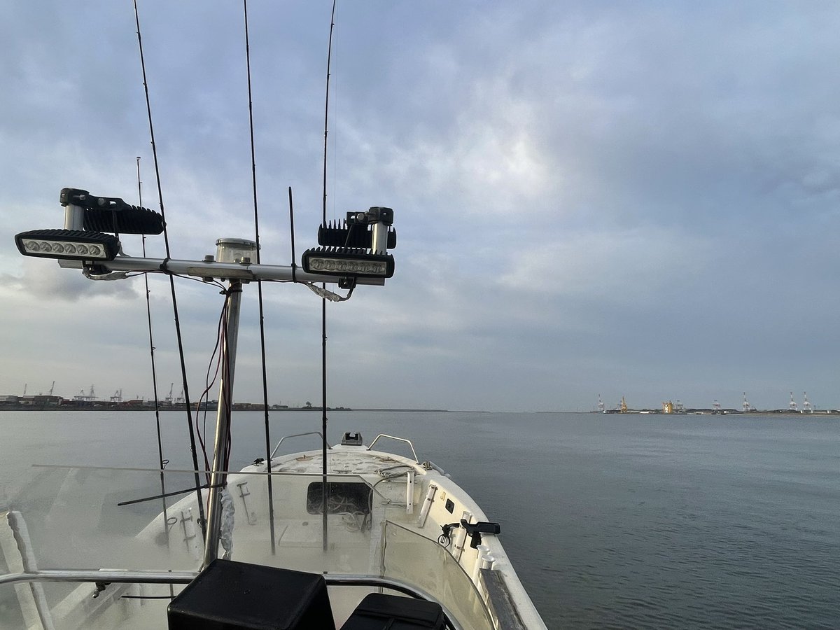 よっしー tweet media